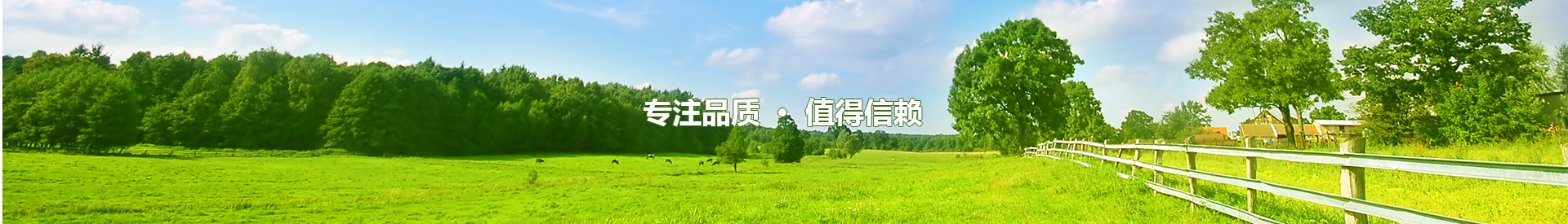 新闻资讯banner